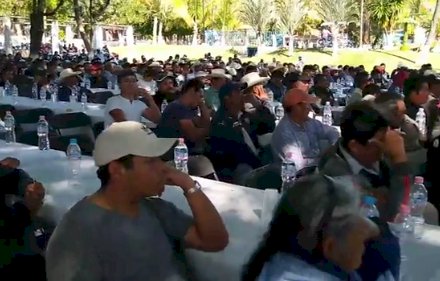 Denuncian productores de gladiola corrupción en la Central de Abasto
