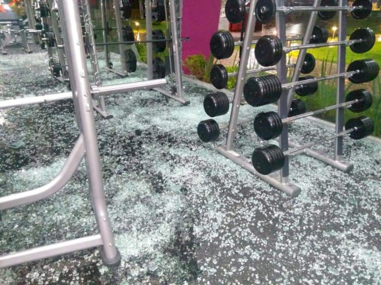 Lluvia echó para abajo cinco árboles en Yautepec