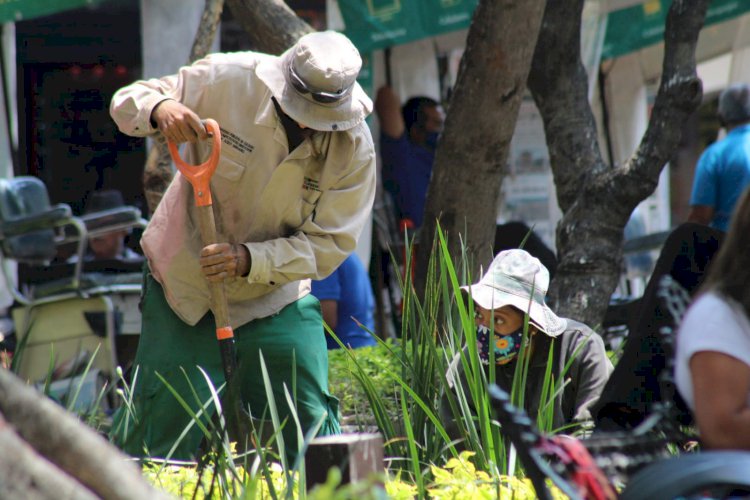 Fomentan salud Ayto. capitalino y la UAEM con combate a plaga