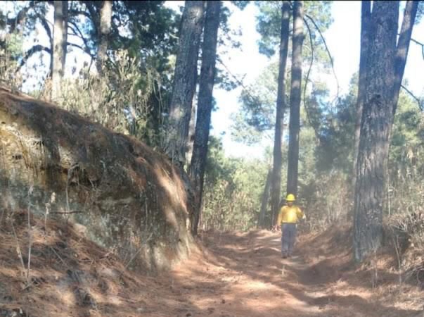 Hay alerta por fuego forestal en límites con el Estado de México